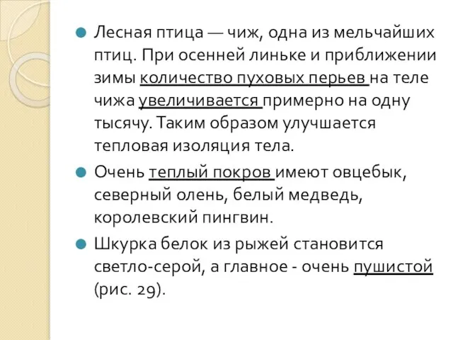 Лесная птица — чиж, одна из мельчайших птиц. При осенней линьке и