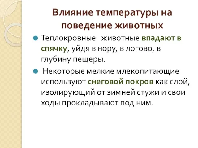 Влияние температуры на поведение животных Теплокровные животные впадают в спячку, уйдя в