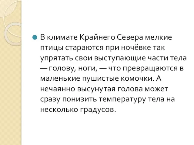 В климате Крайнего Севера мелкие птицы стараются при ночёвке так упрятать свои