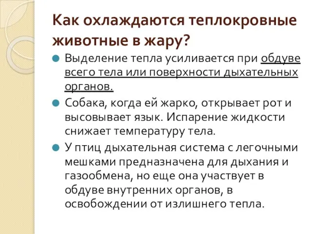 Как охлаждаются теплокровные животные в жару? Выделение тепла усиливается при обдуве всего