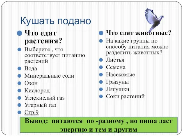 Кушать подано Что едят растения? Выберите , что соответствует питанию растений Вода