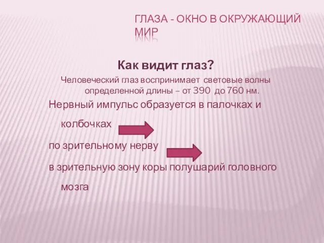 Как видит глаз? Человеческий глаз воспринимает световые волны определенной длины – от