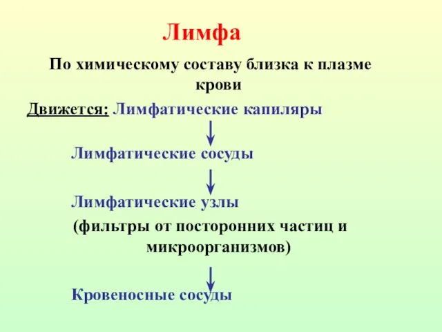 Лимфа По химическому составу близка к плазме крови Движется: Лимфатические капиляры Лимфатические