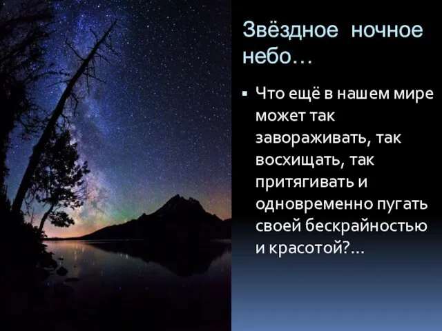 Звёздное ночное небо… Что ещё в нашем мире может так завораживать, так