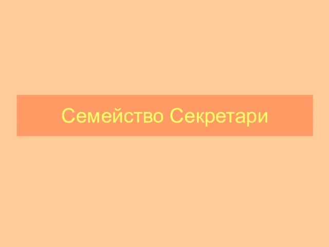 Семейство Секретари