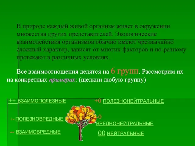 В природе каждый живой организм живет в окружении множества других представителей. Экологические