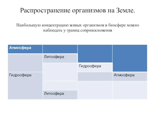 Распространение организмов на Земле. Наибольшую концентрацию живых организмов в биосфере можно наблюдать у границ соприкосновения