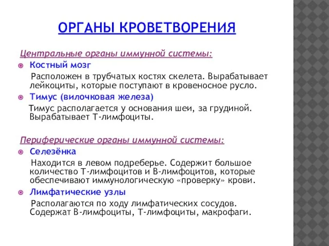 ОРГАНЫ КРОВЕТВОРЕНИЯ Центральные органы иммунной системы: Костный мозг Расположен в трубчатых костях