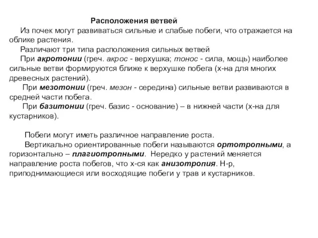 Расположения ветвей Из почек могут развиваться сильные и слабые побеги, что отражается