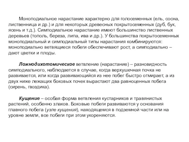 Моноподиальное нарастание характерно для голосеменных (ель, сосна, лиственница и др.) и для