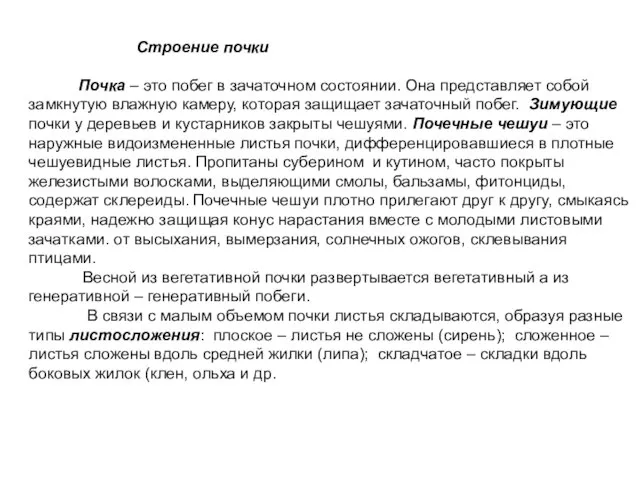 Строение почки Почка – это побег в зачаточном состоянии. Она представляет собой