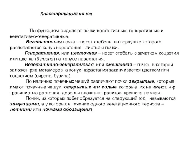 Классификация почек По функциям выделяют почки вегетативные, генеративные и вегетативно-генеративные. Вегетативная почка