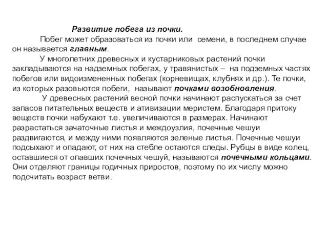 Развитие побега из почки. Побег может образоваться из почки или семени, в