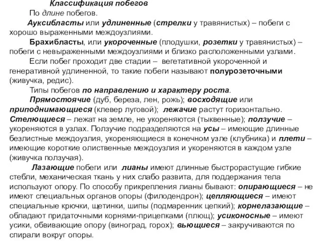 Классификация побегов По длине побегов. Ауксибласты или удлиненные (стрелки у травянистых) –