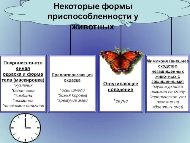 Некоторые формы приспособленности у животных