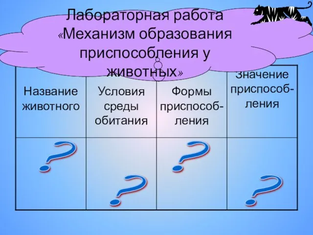 Значение приспособ-ления ? ? ? ? Лабораторная работа «Механизм образования приспособления у животных»