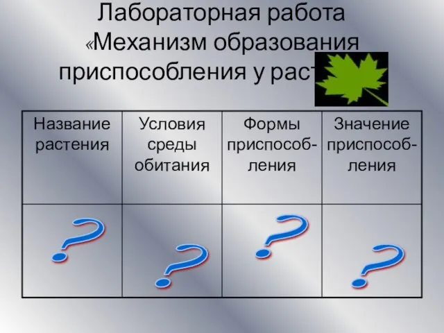 Лабораторная работа «Механизм образования приспособления у растений» ? ? ? ?