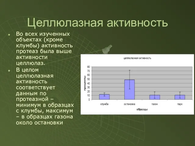 Целлюлазная активность Во всех изученных объектах (кроме клумбы) активность протеаз была выше