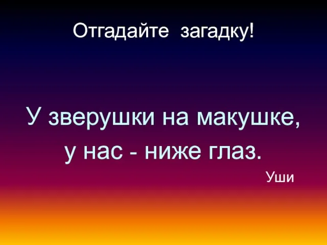 Отгадайте загадку! У зверушки на макушке, у нас - ниже глаз. Уши