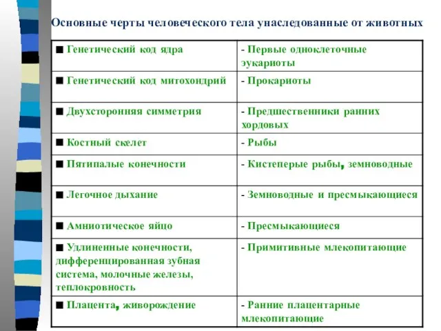 Основные черты человеческого тела унаследованные от животных