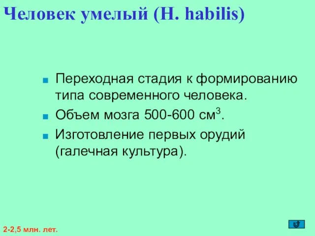 Переходная стадия к формированию типа современного человека. Объем мозга 500-600 см3. Изготовление