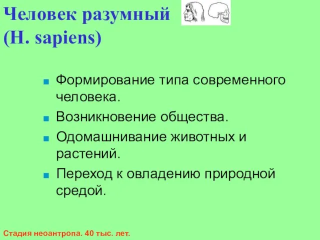 Формирование типа современного человека. Возникновение общества. Одомашнивание животных и растений. Переход к