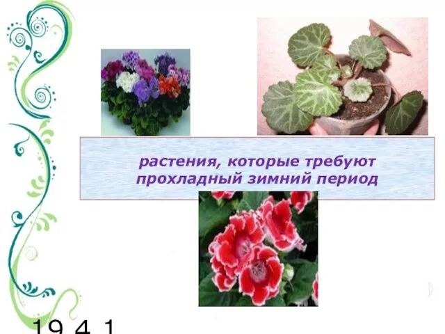 19.4.11 растения, которые требуют прохладный зимний период
