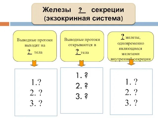 Железы ? секреции (экзокринная система) Выводные протоки выходят на ? тела Выводные