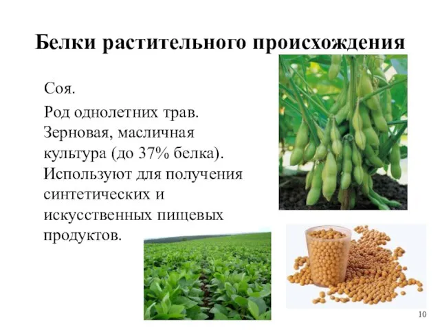 Белки растительного происхождения Соя. Род однолетних трав. Зерновая, масличная культура (до 37%