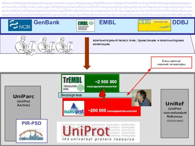 ~2 500 000 последовательностей компьютерный поиск гена, трансляция и компьютерная аннотация UniRef