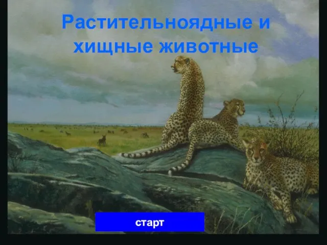 Растительноядные и хищные животные старт