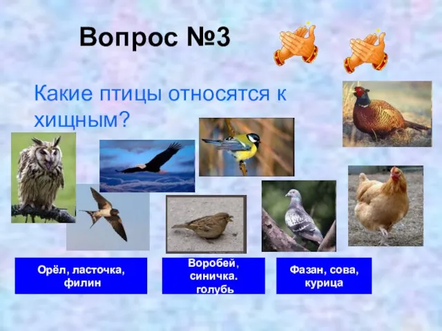 Вопрос №3 Орёл, ласточка, филин Воробей, синичка. голубь Фазан, сова, курица Какие птицы относятся к хищным?