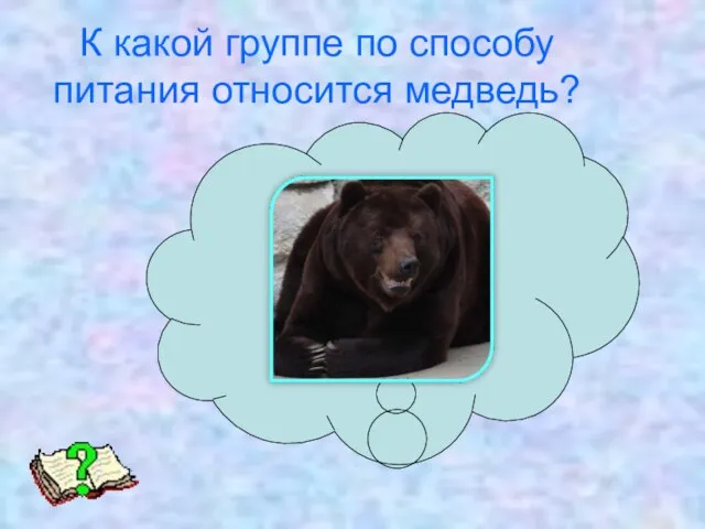 К какой группе по способу питания относится медведь?