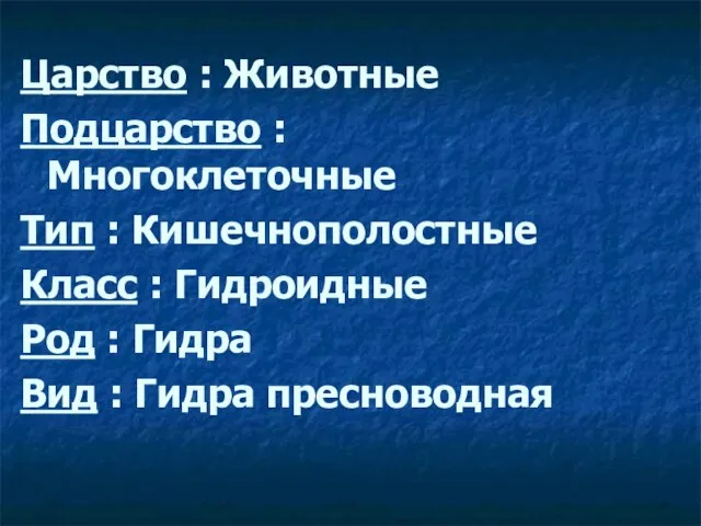 Царство : Животные Подцарство : Многоклеточные Тип : Кишечнополостные Класс : Гидроидные