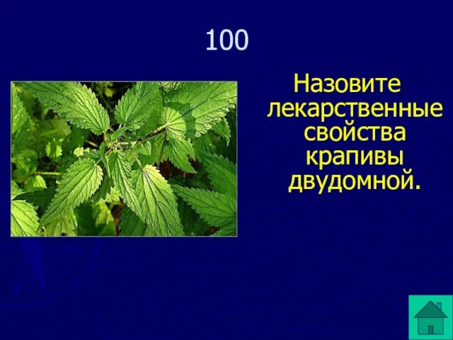 Назовите лекарственные свойства крапивы двудомной. 100