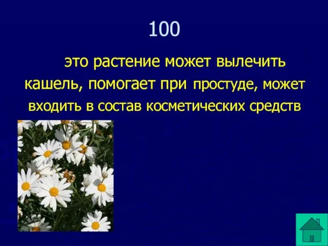 100 это растение может вылечить кашель, помогает при простуде, может входить в состав косметических средств