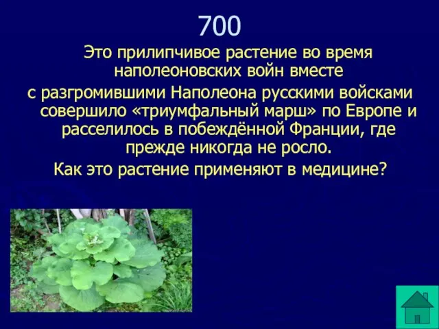 Это прилипчивое растение во время наполеоновских войн вместе с разгромившими Наполеона русскими