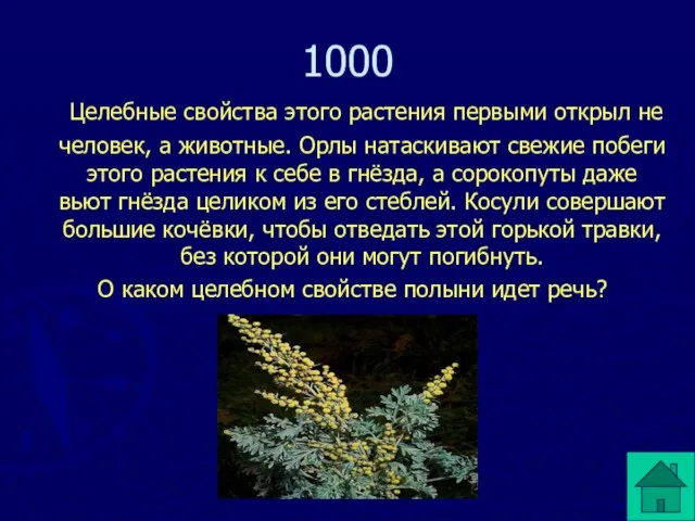 1000 Целебные свойства этого растения первыми открыл не человек, а животные. Орлы