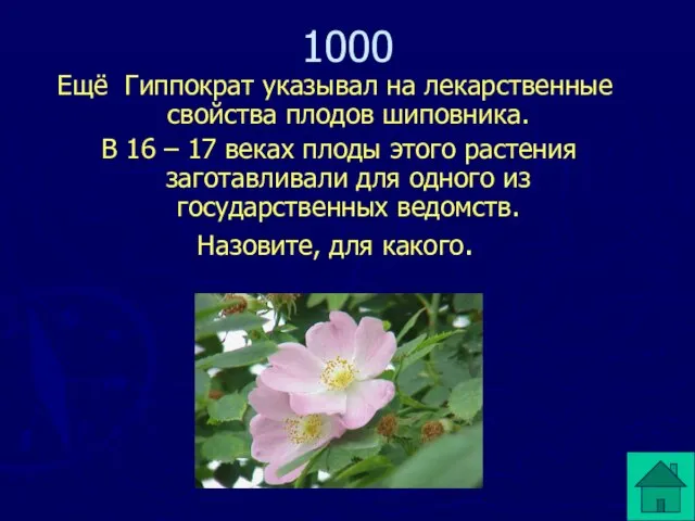 Ещё Гиппократ указывал на лекарственные свойства плодов шиповника. В 16 – 17