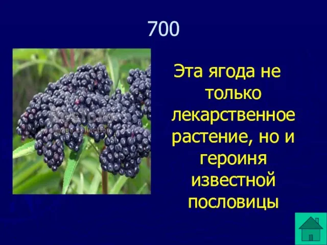 Эта ягода не только лекарственное растение, но и героиня известной пословицы 700
