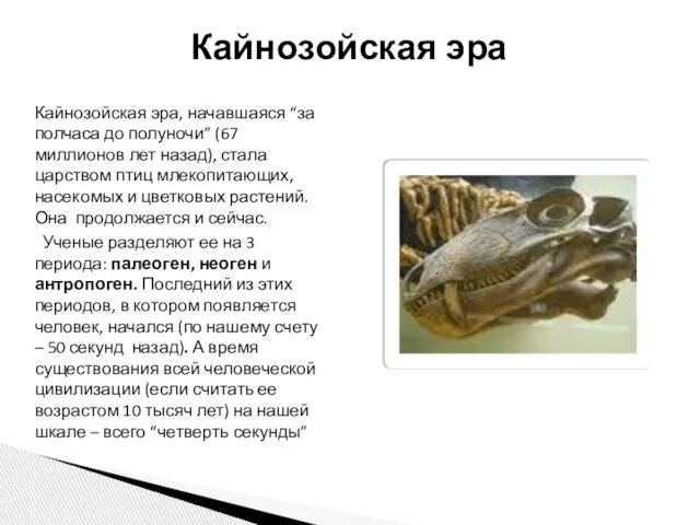 Кайнозойская эра, начавшаяся “за полчаса до полуночи” (67 миллионов лет назад), стала