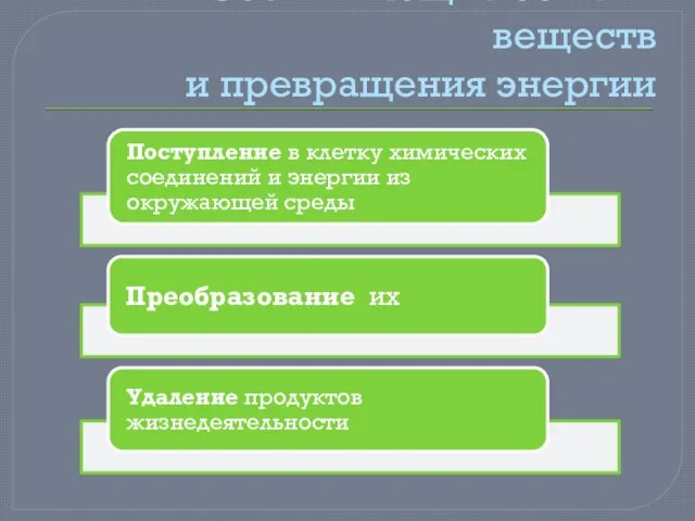 Составляющие обмена веществ и превращения энергии