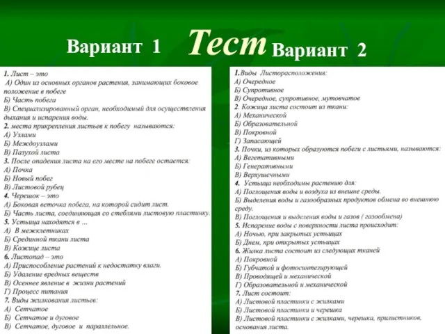 Тест Вариант 1 Вариант 2