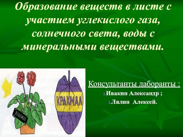 Образование веществ в листе с участием углекислого газа, солнечного света, воды с