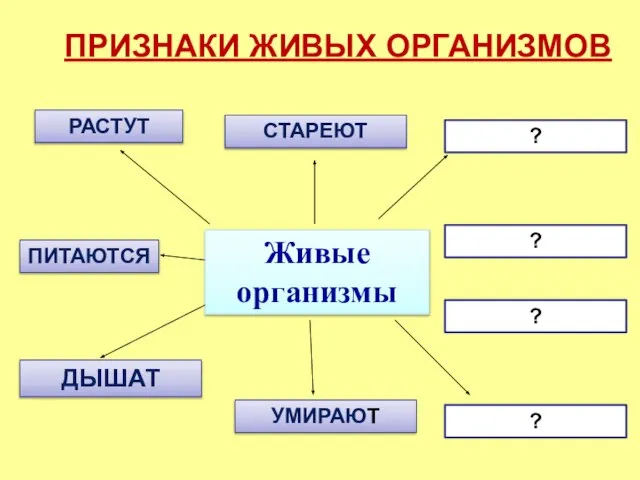 Живые организмы ДЫШАТ ПИТАЮТСЯ РАСТУТ УМИРАЮТ СТАРЕЮТ ? ПРИЗНАКИ ЖИВЫХ ОРГАНИЗМОВ ? ? ?