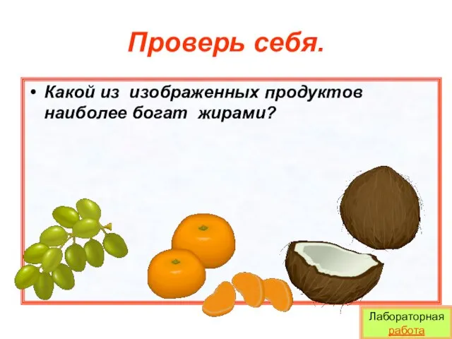 Проверь себя. Какой из изображенных продуктов наиболее богат жирами? Лабораторная работа