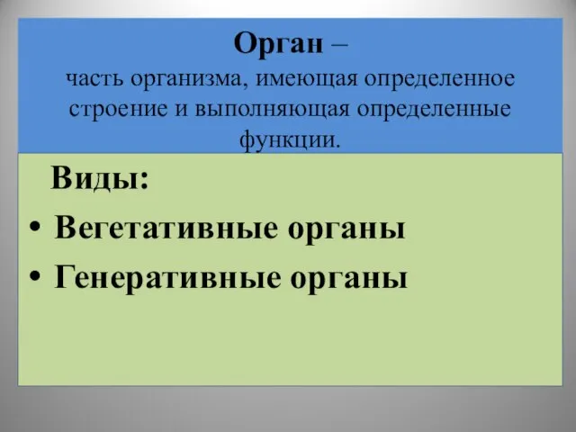 Орган – часть организма, имеющая определенное строение и выполняющая определенные функции. Виды: Вегетативные органы Генеративные органы