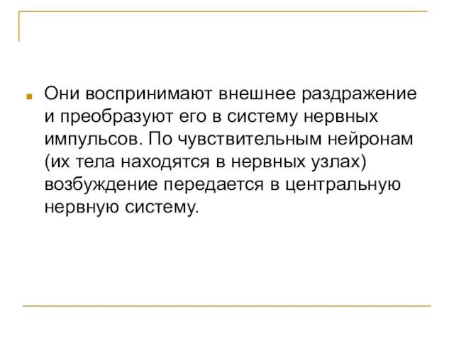 Они воспринимают внешнее раздражение и преобразуют его в систему нервных импульсов. По