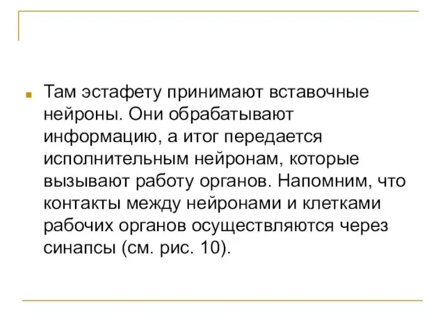 Там эстафету принимают вставочные нейроны. Они обрабатывают информацию, а итог передается исполнительным