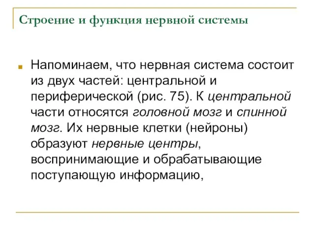 Строение и функция нервной системы Напоминаем, что нервная система состоит из двух